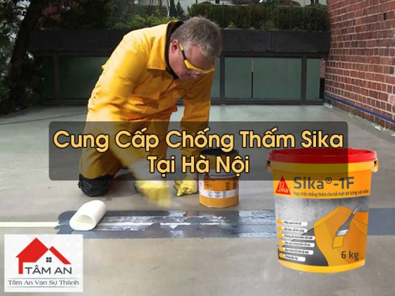 Chống Thấm Sika Tại Hà Nội