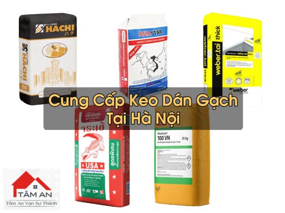 Keo Dán Gạch Tại Hà Nội