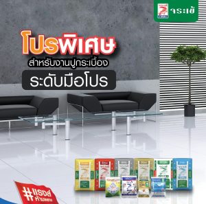 Keo Dán Gạch Cá Sấu Thái Lan Crocodile Có Tốt Không