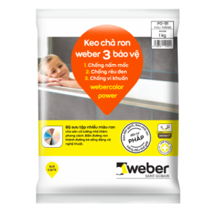 Weber Color Power 2020 400x400