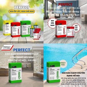 ảnh Bìa Tổng Sản Phẩm Perfect
