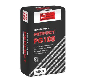 Pg100 2